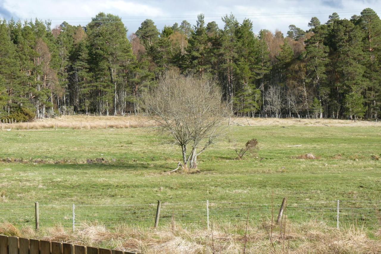 Tanleys B&B Grantown-on-Spey Екстер'єр фото